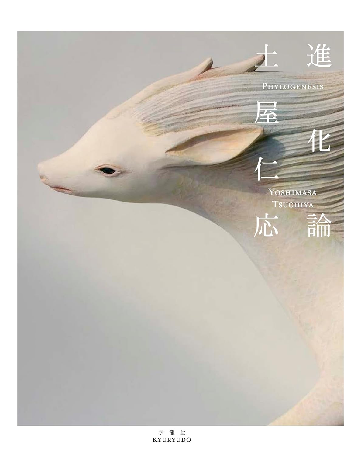 Yoshimasa Tsuchiya - archive